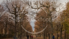 Schoenbrunn Palace in Vienna