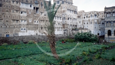 Backyard in Sanaa Yemen
