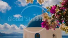 Flowers on Santorini