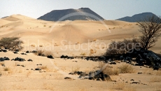Desert in Yemen