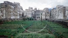 Backyard in Sanaa Yemen