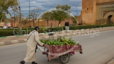 Vegetable seller in Meknès (Morocco)