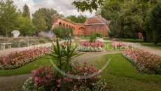Flower beds in Klenzepark (Ingolstadt)