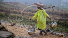 Worker in the rice fields of Longi
